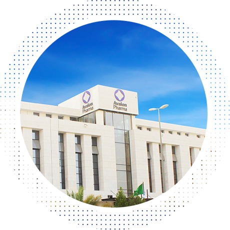 Our Projects